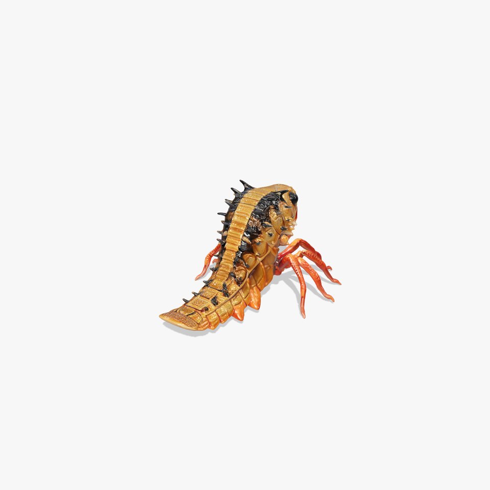 Insectoid Monster Creature Model with Spiked Shell